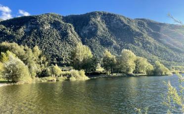 Villa 4.5 Zimmer - image - 13