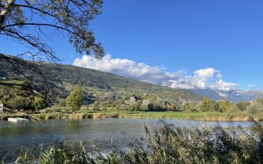 Wohnung 3.5 Zimmer - image - 13