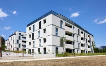 Apartment 2.5 rooms - image - 2