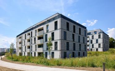 Apartment 2.5 rooms - image - 5