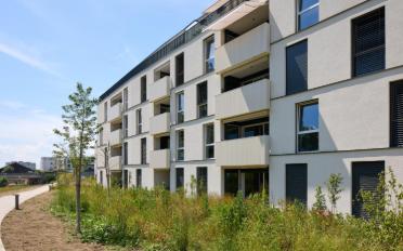 Apartment 2.5 rooms - image - 6