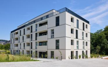 Apartment 2.5 rooms - image - 7