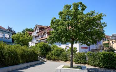 Wohnung ein Zimmer - image - 1