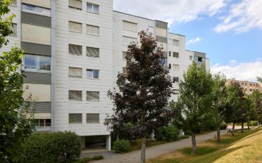 Wohnung 3.5 Zimmer - image - 3