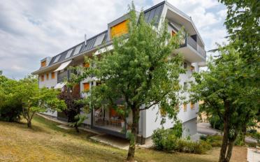 Wohnung 3.5 Zimmer - image - 3