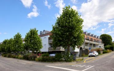 Wohnung 2 Zimmer - image - 2