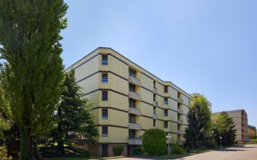 Wohnung 3.5 Zimmer - image - 1
