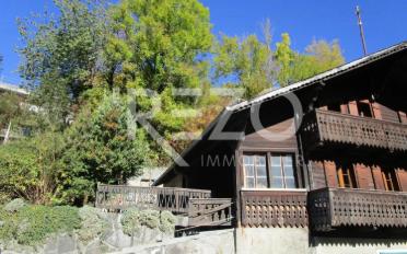 Chalet 6.5 rooms - image - 2