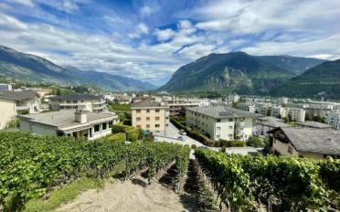 Bauland - image - 1