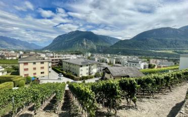 Bauland - image - 2
