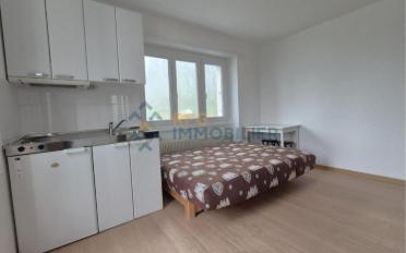 Wohnung 1.5 Zimmer - image - 6