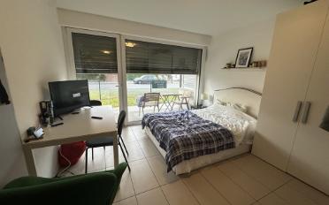 Studio 1 room - image - 1