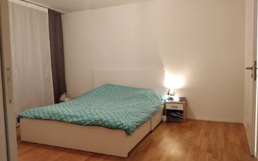 Wohnung 2.5 Zimmer - image - 4
