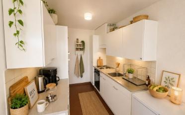 Wohnung 3 Zimmer - image - 2