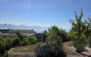 Wohnung 3 Zimmer - image - 2