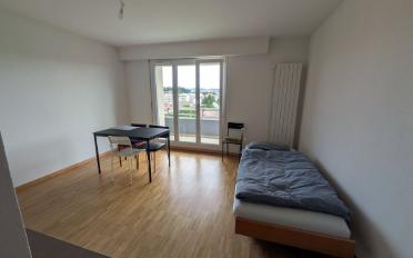 Wohnung ein Zimmer - image - 3