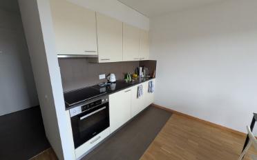 Wohnung ein Zimmer - image - 4