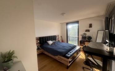 Wohnung 2.5 Zimmer - image - 3