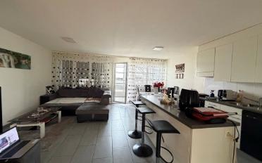 Wohnung 3.5 Zimmer - image - 2