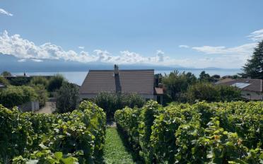 Villa - image - 2