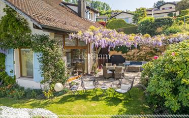 Single house 9.5 rooms - image - 3