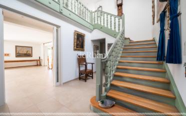 Single house 6.5 rooms - image - 7