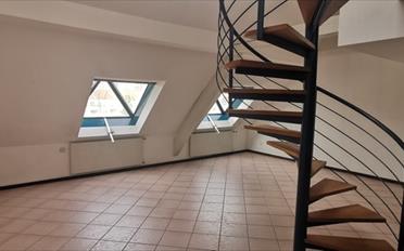 Apartment 5.5 rooms - image - 9