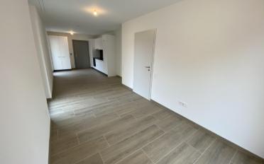 Wohnung 2.5 Zimmer - image - 4