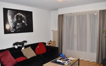 Wohnung 3.5 Zimmer - image - 2