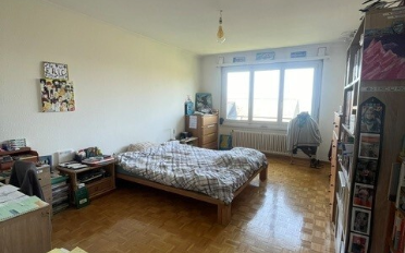 Wohnung 6.5 Zimmer - image - 4