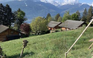 Building land - image - 3