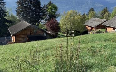 Building land - image - 1