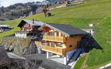 Chalet 4.5 Zimmer - image - 3