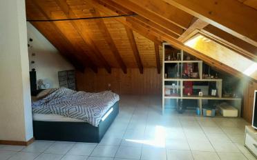 Studio 1 room - image - 3