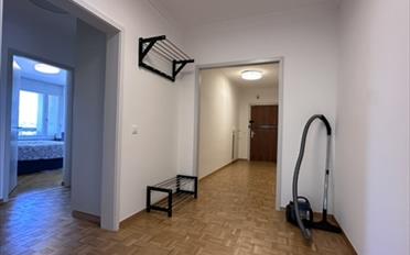Chambre 1 pièce - image - 13