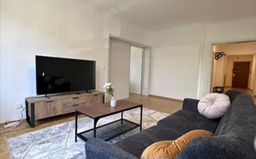 Chambre 1 pièce - image - 14