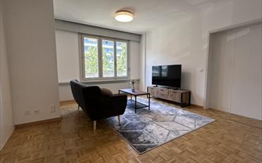 Chambre 1 pièce - image - 16