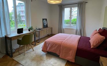 Chambre 1 pièce - image - 6