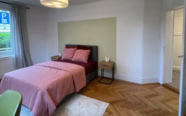 Chambre 1 pièce - image - 7