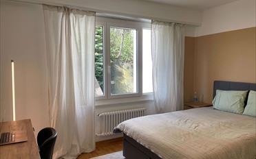 Chambre 1 pièce - image - 8
