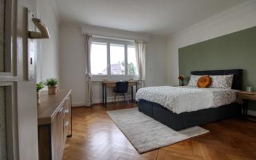 Chambre 1 pièce - image - 1