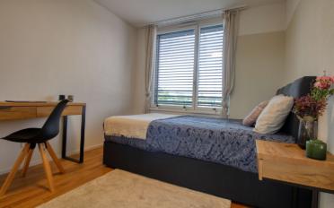 Chambre 1 pièce - image - 2