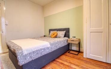 Single room 1 room - image - 3