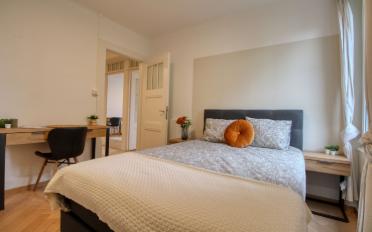 Single room 1 room - image - 5