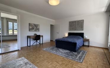 Chambre 1 pièce - image - 1