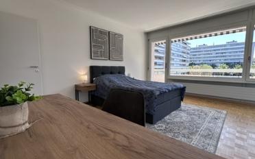 Chambre 1 pièce - image - 3