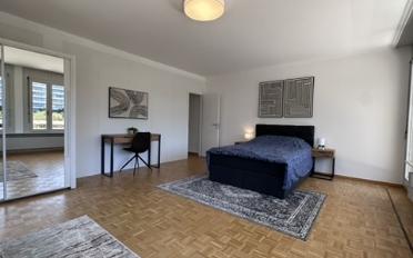 Chambre 1 pièce - image - 4