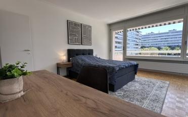Chambre 1 pièce - image - 11