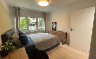 Chambre 1 pièce - image - 2