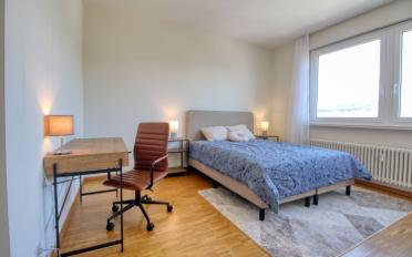 Single room 1 room - image - 1